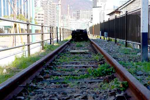 残された臨港線の線路